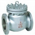 Swing Check Valve