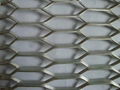 Expanded Metal Mesh 2