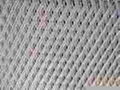 Expanded Metal Mesh 4