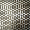 Perforated Mesh