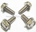 Flange Bolts DIN6921 5.8