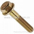 Flange Bolts DIN6921 8.8