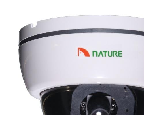 1/3" CCD Color Dome security camera 3