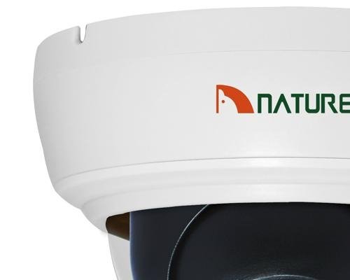Hotsell Japan Nature Zoom Dome surveillance Camera 3