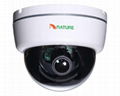 700TVL Color Zoom Dome cctv security