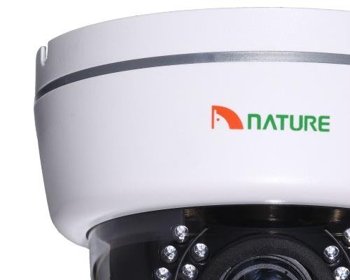 Color IR Zoom dome cctv camera with best price 3