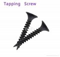 High Quality Self Tapping Screw