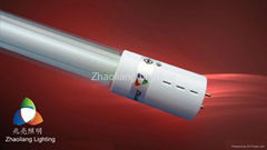 Self-ballast Energy Saving Light(ZL-D)