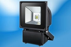 LED Flood Light