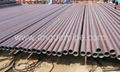 Carbon Steel Seamless Tube Pipes