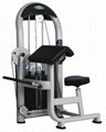 Biceps Curl Machine 1