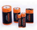 ZINC CARBON BATTERY R03/AAA/UM-4 5