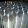 Welded Wire Mesh 3