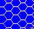 Hexagonal Wire Mesh