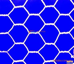 Hexagonal Wire Mesh 