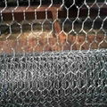 Hexagonal Wire Mesh  3