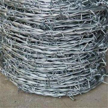Barded Iron Wire Mesh 2