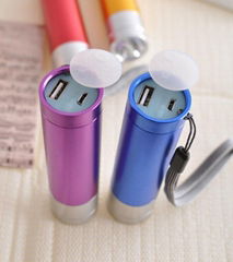 2013 New power bank