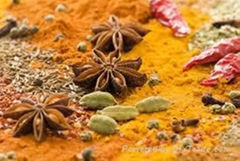 Mix Spice powder