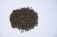 Black pepper for sale