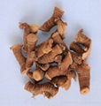 Galangal for sale 1