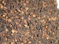 Cloves for sale