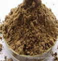 Five Spice powder