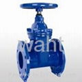 ANSI soft seal gate valve