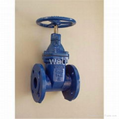 BS5163 resilient seat gate valve