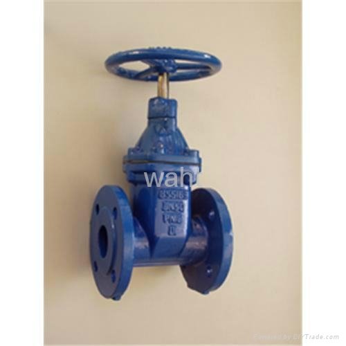 BS5163 rubber wedge gate valve/