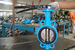 ANSI Wafer cast iron butterfly valve