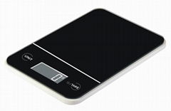 Electroic Kitchen Scale