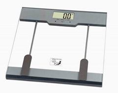 Electronic body fat scale