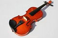 1/2 Violin Package(PV-551 1/2 P ) 1