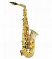 Alto   Saxophone(Eb Key)PWS-A-GL&NP P