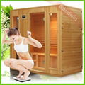 sauna heater 