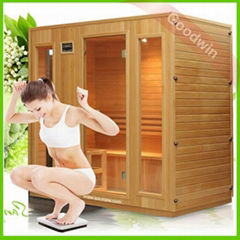 sauna heater 
