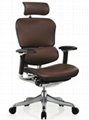 The ergonomic chair 1