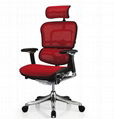 The ergonomic chair 2