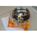 Roller bearing 1