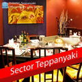 teppanyaki equipment