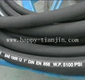 hydraulic hose-SAE R12