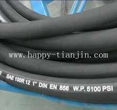 hydraulic hose-SAE R12