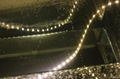 nano waterproof SMD3528 led strip 2