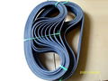 rubber Multi-wedge  belt 1