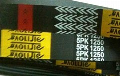 5PK1250 Multi Wedge  Belt 