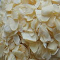 DEHYDRATED GARLIC FLAKE 1