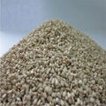 YELLOW-WHITISH SESAME SEED