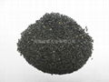 BLACK SESAME SEED