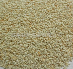 ROASTED BLANCHED SESAME SEED